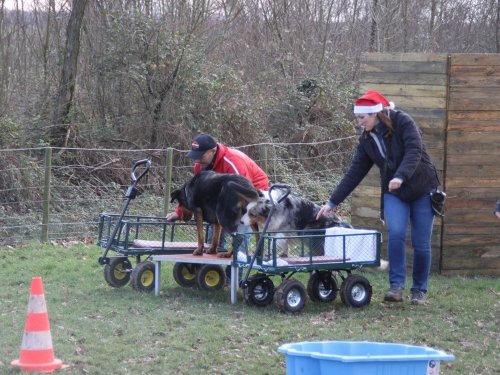 Education canine, 21 décembre 2019