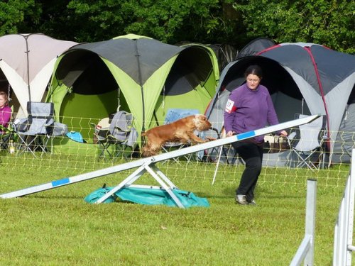 Concours d'agility de Fontaines, le 29 mai 2016