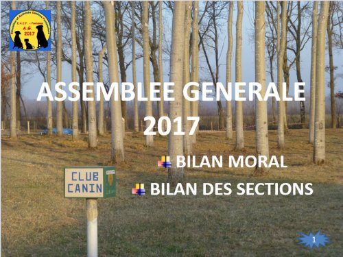 Bilan 2016 présenté lors de l'assemblée générale 2017