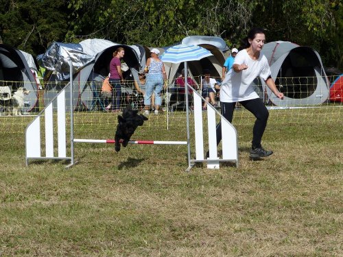 Concours d'agility de Fontaines, le 16 septembre 2018