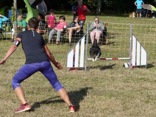 Concours d'agility de Fontaines, le 16 septembre 2018