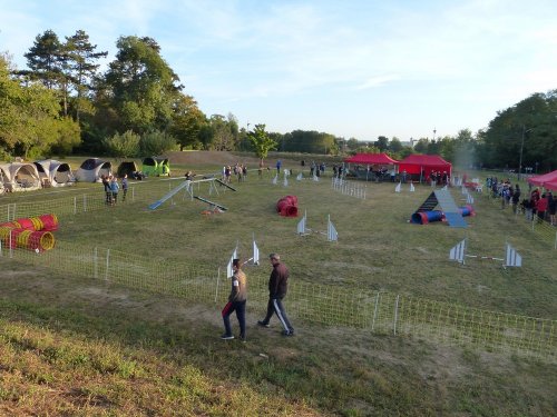 Concours d'agility de Fontaines, le 16 septembre 2018