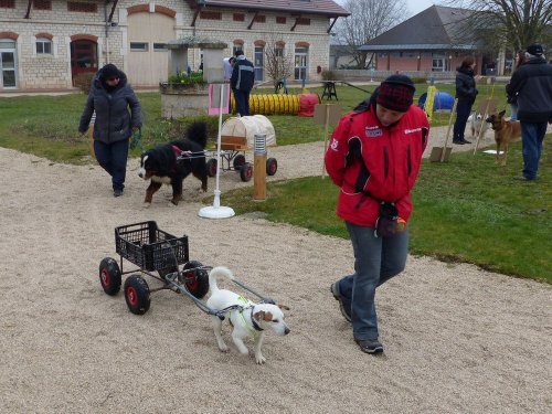 Démonstration au lycée agricole de Fontaines le 18 mars 2018