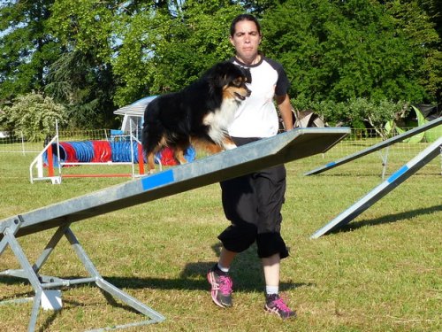 Concours d'agility de Fontaines, le 28 mai 2017