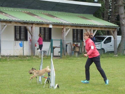 Concours d'agility, Daix, 17 juin 2018