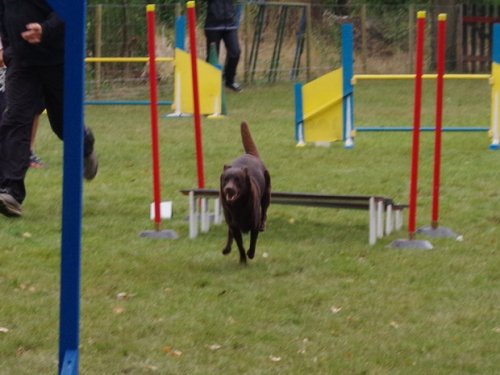 CAESC et Pass-agility Fontaines 17 septembre 2016