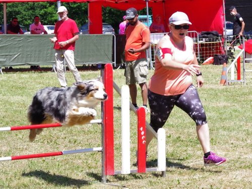 Concours d'agility de Fontaines, le 28 mai 2017