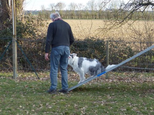 Agility loisir, 18 février 2023