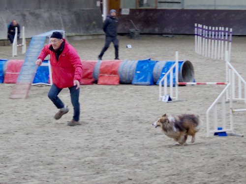 Concours d'agility, Dijon 8 décembre 2024
