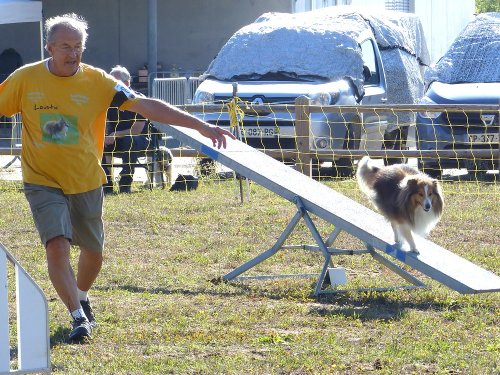 Concours d'agility, Fontaines 11 septembre 2022