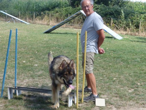 Initiation à l'agility, 19 juillet 2023