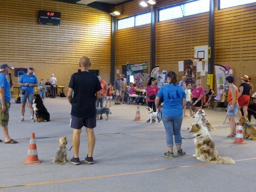 Forum des associations, 31 août 2019