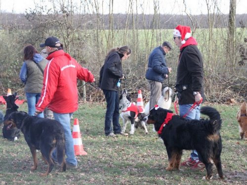 Education canine, 21 décembre 2019