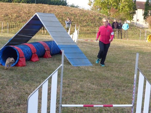 Concours d'agility de Fontaines, le 16 septembre 2018