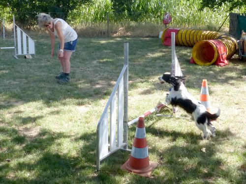 Initiation à l'agility, 19 juillet 2023