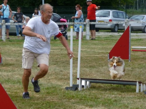 Concours d'agility, Montret, 30 juillet 2017