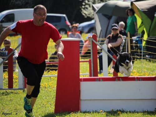 Premier concours d'agility de Fontaines, le 12 avril 2015