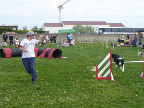 Concours d'agility, Barges, 21 avril 2019