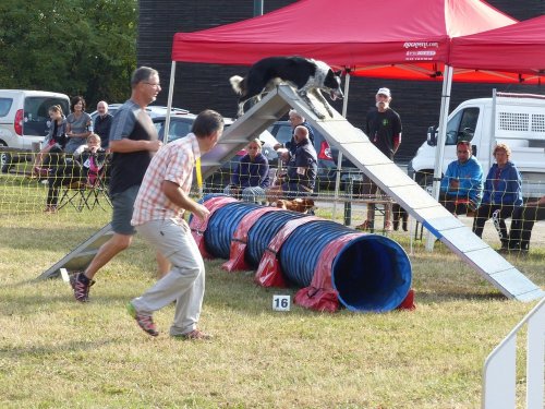 Concours d'agility de Fontaines, le 16 septembre 2018