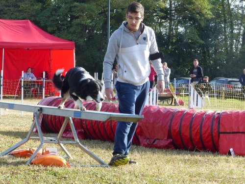 Concours d'agility de Fontaines, le 16 septembre 2018