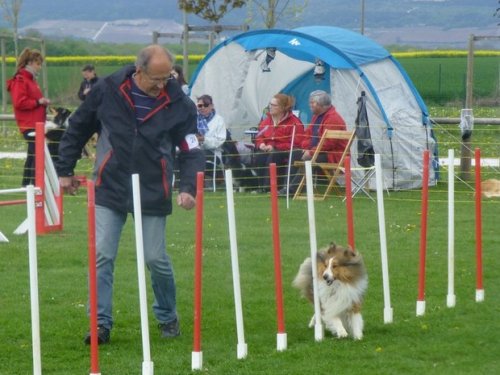 Concours d'agility, Barges, 16 avril 2017