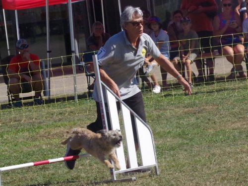 Concours d'agility, Fontaines, 9 et 10 septembre 2023