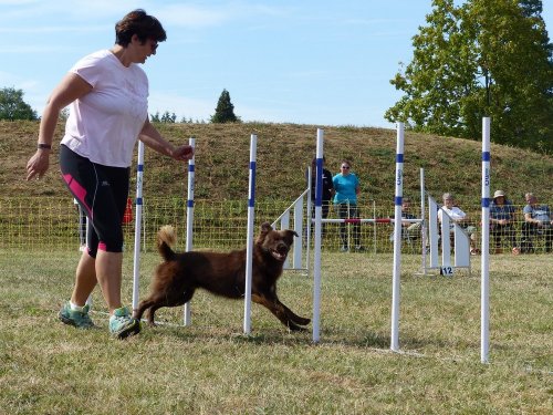 Concours d'agility de Fontaines, le 16 septembre 2018