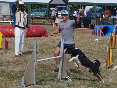 Concours d'agility, Autun, 9 septembre 2018