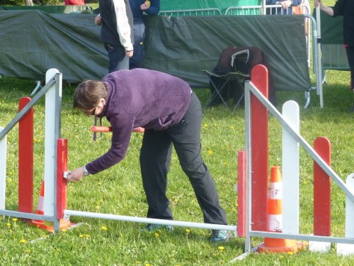 Premier concours d'agility de Fontaines, le 12 avril 2015