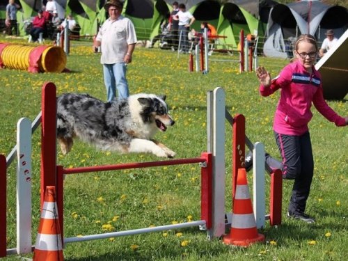 Premier concours d'agility de Fontaines, le 12 avril 2015