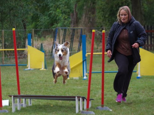 CAESC et Pass-agility Fontaines 17 septembre 2016