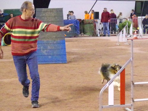 Concours d'agility en salle à la Nef au Creusot le 12 novembre 2017