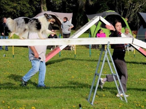 Premier concours d'agility de Fontaines, le 12 avril 2015