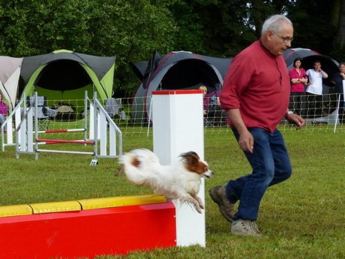 Concours d'agility de Fontaines, le 29 mai 2016