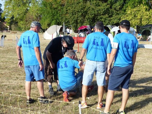 Concours d'agility de Fontaines, le 15 septembre 2019