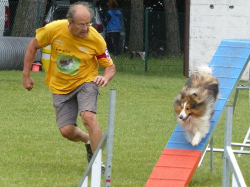 Concours d'agility, Daix, 17 juin 2018