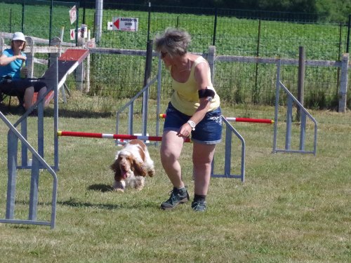 Concours d'agility, Montret, 25 juin 2023