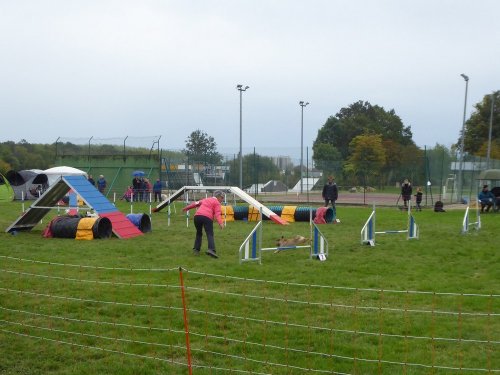 Concours d'agility, Sainte Marie la Blanche, 20 octobre 2019