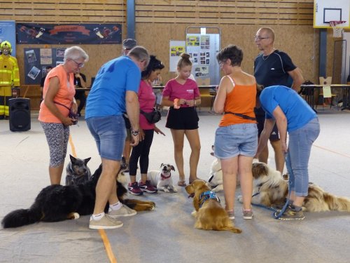 Forum des associations, 31 août 2019