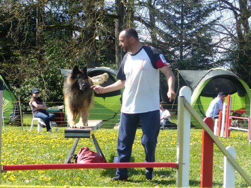 Premier concours d'agility de Fontaines, le 12 avril 2015