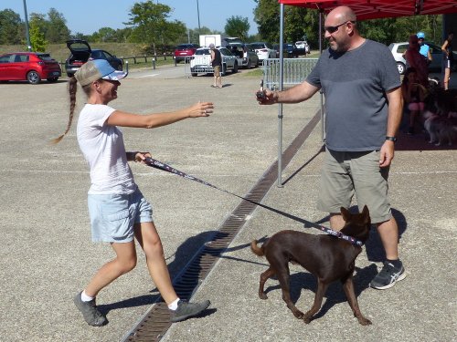 Concours d'agility, Fontaines 9 et 10 septembre 2023