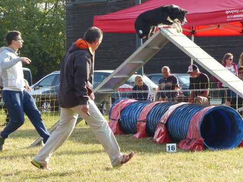 Concours d'agility de Fontaines, le 16 septembre 2018