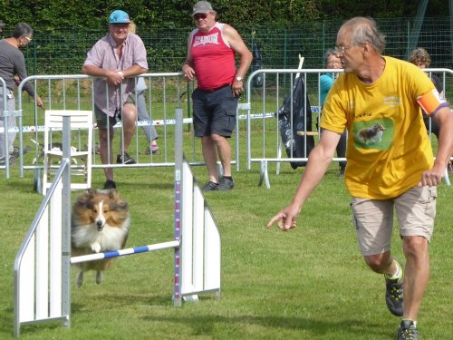 Concours d'agility, Montbard, 24 juin 2018