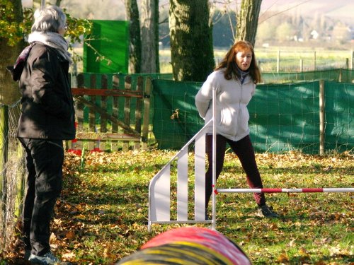 Stage d'agility, 26 novembre 2023