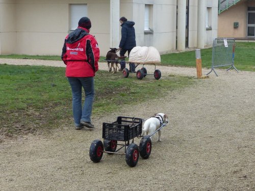 Démonstration au lycée agricole de Fontaines le 18 mars 2018