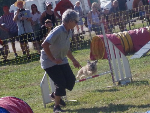 Concours d'agility, Fontaines, 9 et 10 septembre 2023