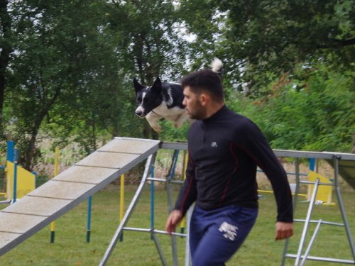 CAESC et Pass-agility Fontaines 17 septembre 2016