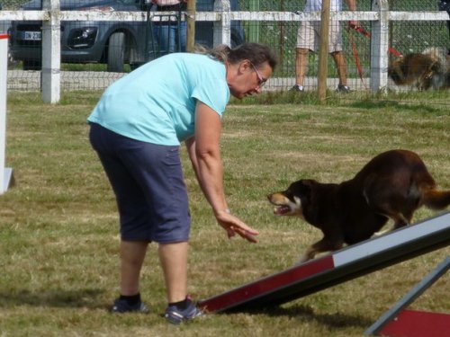 Concours d'agility, Montret, 30 juillet 2017