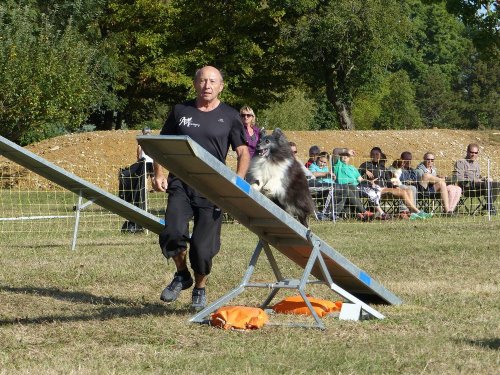 Concours d'agility de Fontaines, le 16 septembre 2018