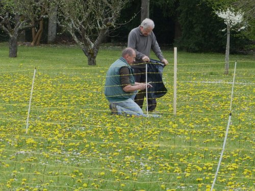 Premier concours d'agility de Fontaines, le 12 avril 2015